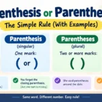 Parenthesis or Parentheses