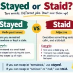 Stayed or Staid